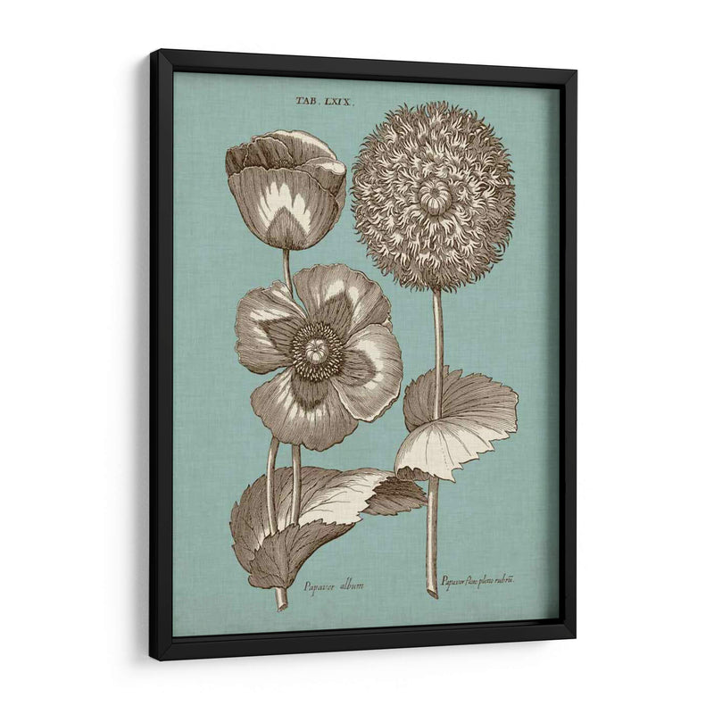 Chambray Chintz Iii - Vision Studio | Cuadro decorativo de Canvas Lab