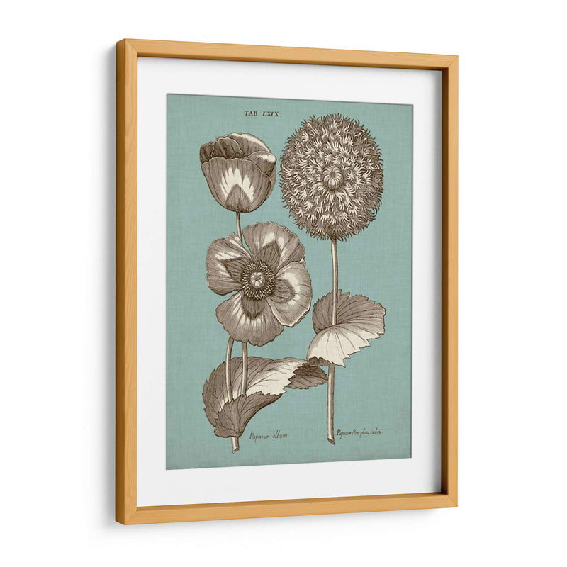 Chambray Chintz Iii - Vision Studio | Cuadro decorativo de Canvas Lab