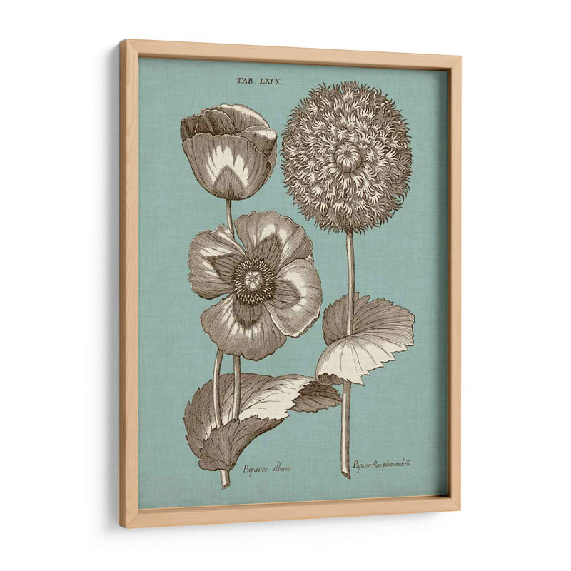 Chambray Chintz Iii - Vision Studio | Cuadro decorativo de Canvas Lab