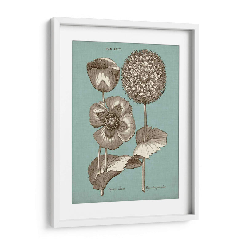 Chambray Chintz Iii - Vision Studio | Cuadro decorativo de Canvas Lab