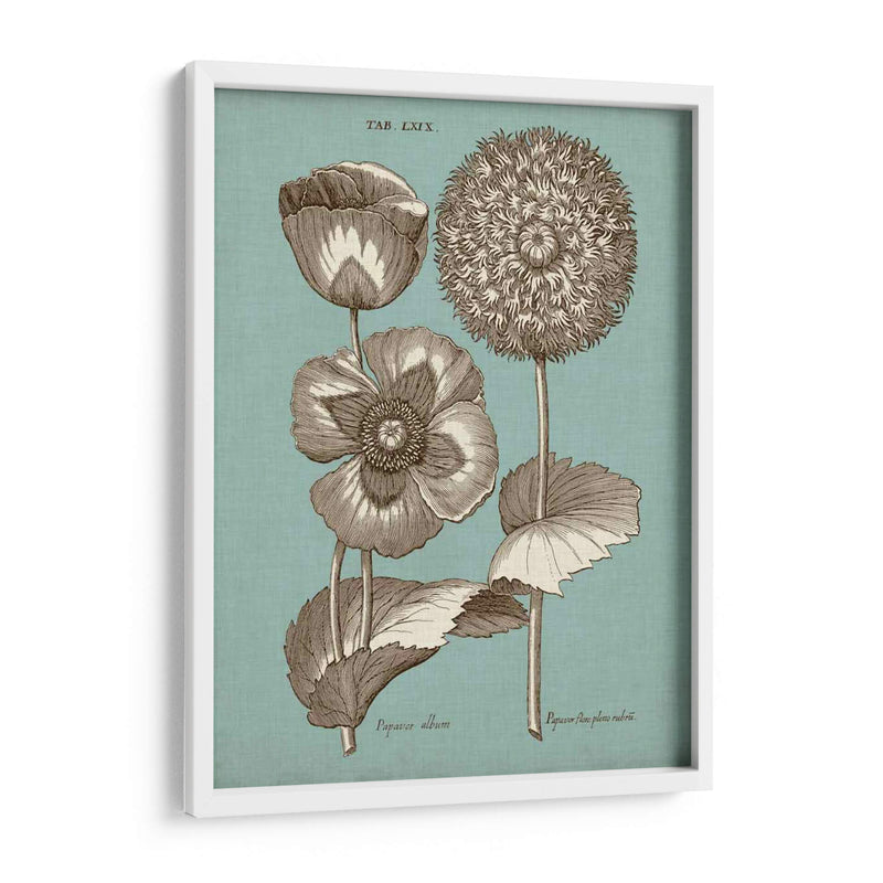 Chambray Chintz Iii - Vision Studio | Cuadro decorativo de Canvas Lab