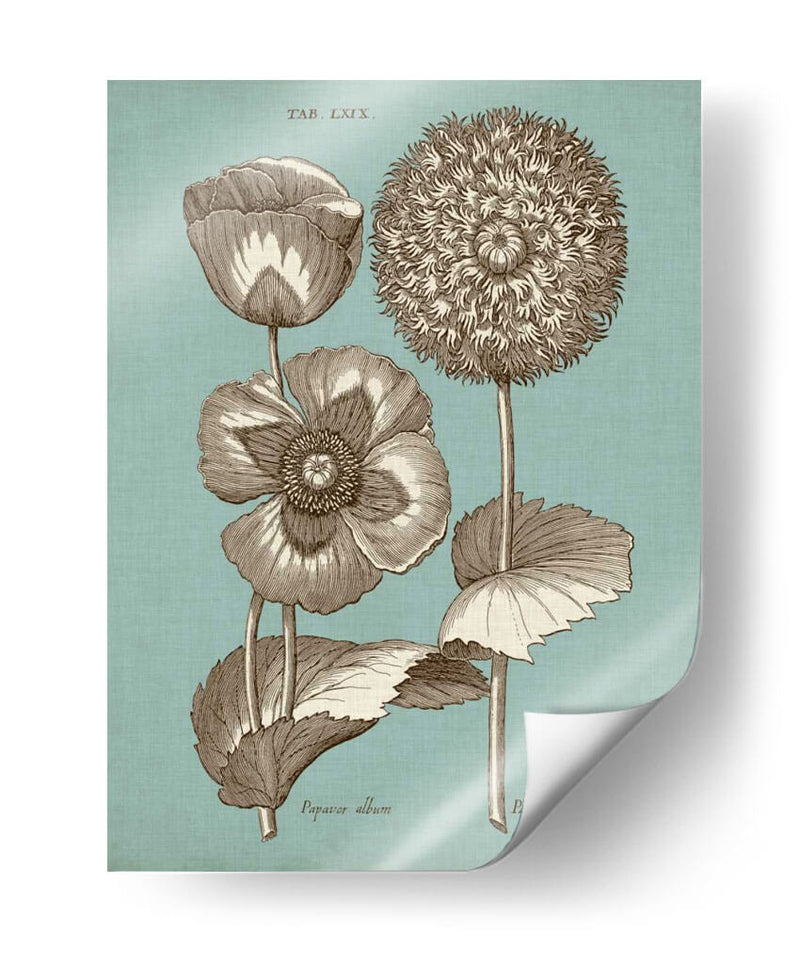 Chambray Chintz Iii - Vision Studio | Cuadro decorativo de Canvas Lab