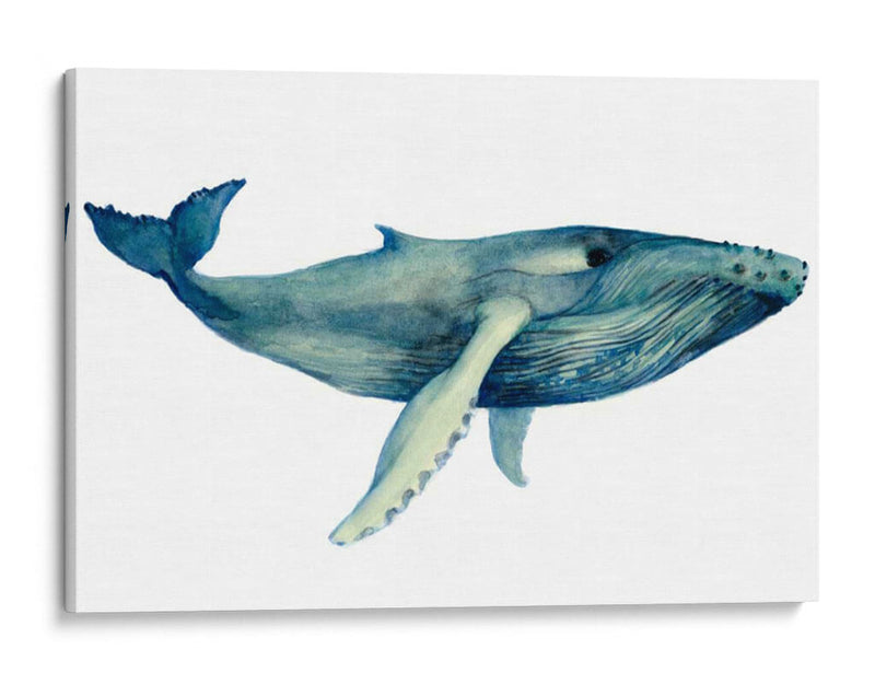 La Canción De Las Ballenas Ii - Grace Popp | Cuadro decorativo de Canvas Lab
