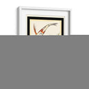 Koi Fish I - Chariklia Zarris | Cuadro decorativo de Canvas Lab