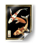 Koi Pescado En Negro I - Chariklia Zarris | Cuadro decorativo de Canvas Lab