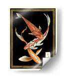 Pescado Koi En Negro Ii - Chariklia Zarris | Cuadro decorativo de Canvas Lab