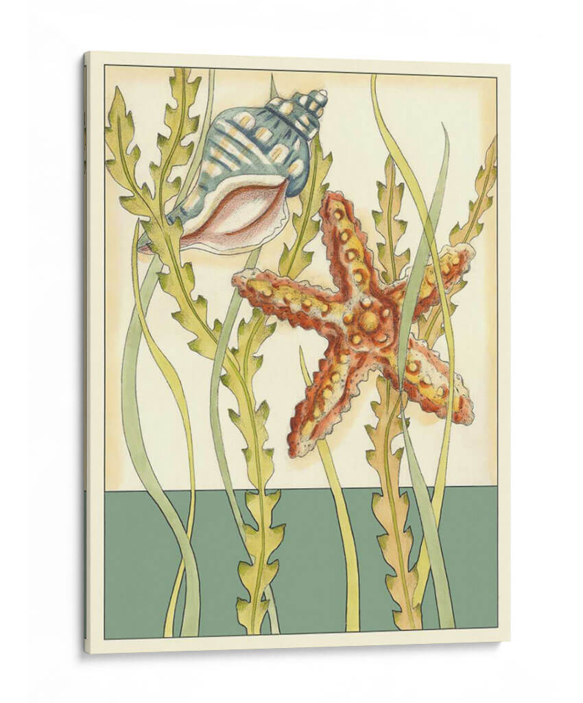 Shell Temporada I - Chariklia Zarris | Cuadro decorativo de Canvas Lab