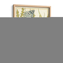 Shell Temporada I - Chariklia Zarris | Cuadro decorativo de Canvas Lab