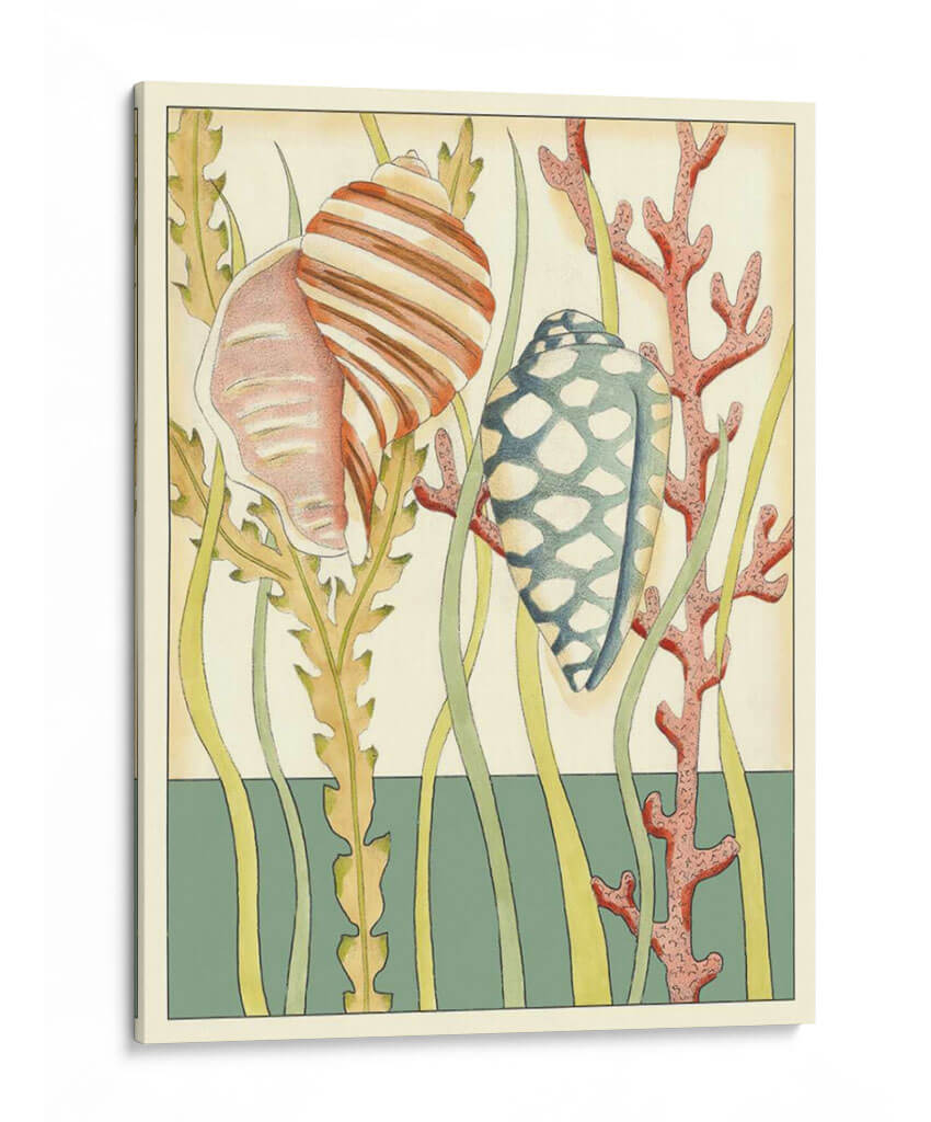 Shell Temporada Ii - Chariklia Zarris | Cuadro decorativo de Canvas Lab
