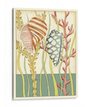 Shell Temporada Ii - Chariklia Zarris | Cuadro decorativo de Canvas Lab