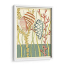 Shell Temporada Ii - Chariklia Zarris | Cuadro decorativo de Canvas Lab