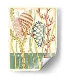 Shell Temporada Ii - Chariklia Zarris | Cuadro decorativo de Canvas Lab
