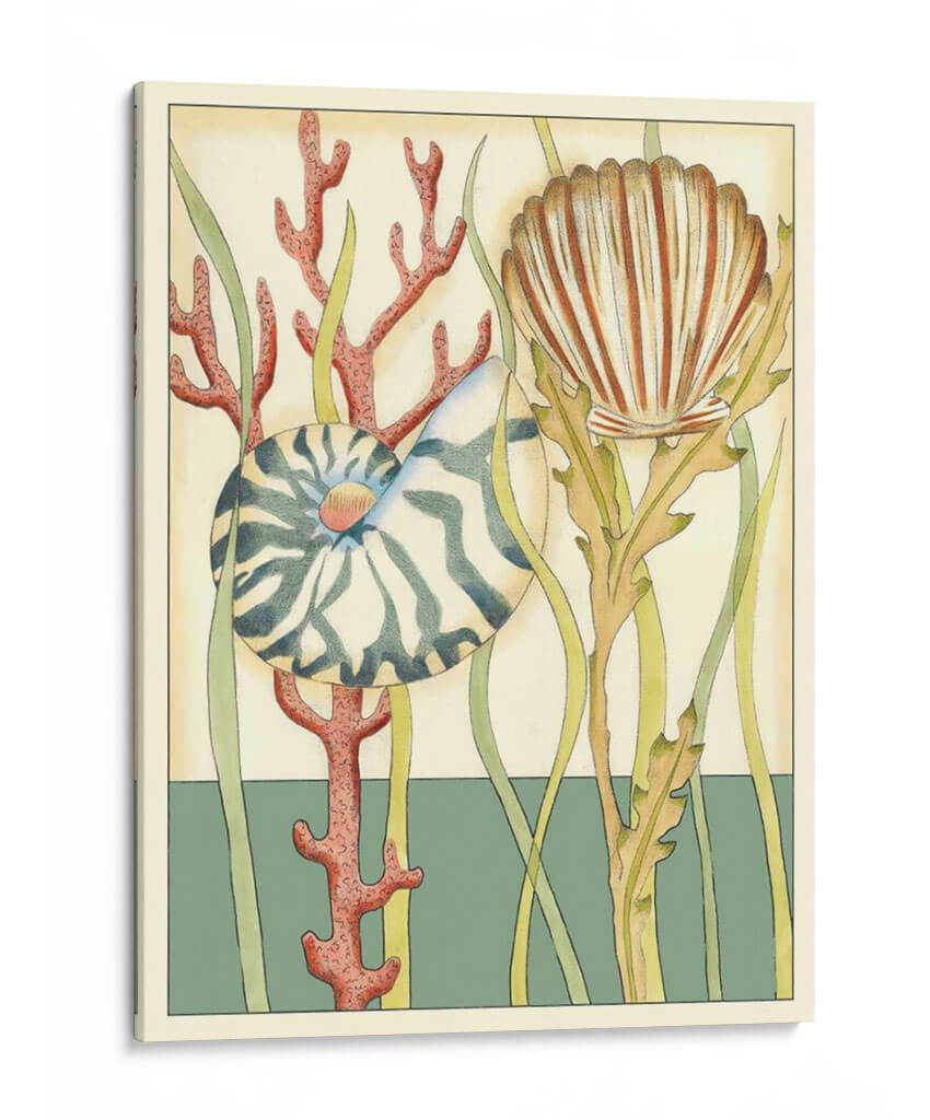 Shell Temporada Iii - Chariklia Zarris | Cuadro decorativo de Canvas Lab