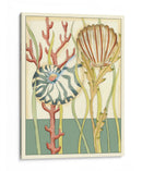 Shell Temporada Iii - Chariklia Zarris | Cuadro decorativo de Canvas Lab
