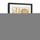 Shell Temporada Iii - Chariklia Zarris | Cuadro decorativo de Canvas Lab