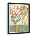 Shell Temporada Iii - Chariklia Zarris | Cuadro decorativo de Canvas Lab