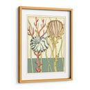 Shell Temporada Iii - Chariklia Zarris | Cuadro decorativo de Canvas Lab
