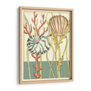 Shell Temporada Iii - Chariklia Zarris | Cuadro decorativo de Canvas Lab