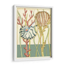 Shell Temporada Iii - Chariklia Zarris | Cuadro decorativo de Canvas Lab