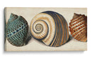 Shell Trio I - Vision Studio | Cuadro decorativo de Canvas Lab