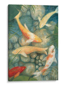 Reflejando Koi Ii - Megan Meagher | Cuadro decorativo de Canvas Lab