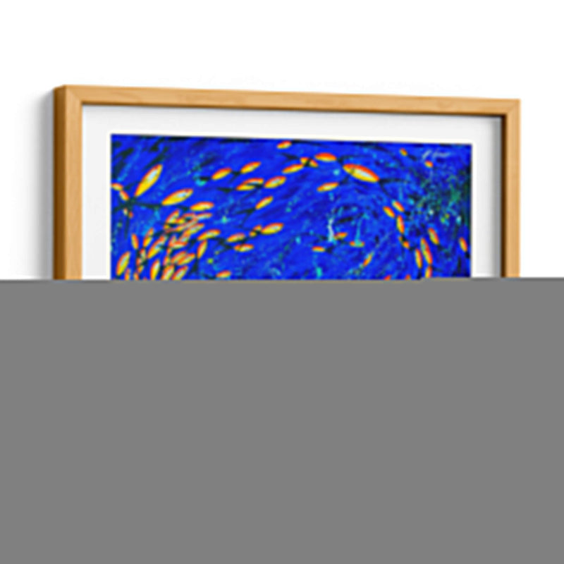 Banco de peces naranjas | Cuadro decorativo de Canvas Lab