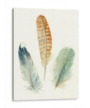 Plumas De Acuarela Iv - Meg Marie | Cuadro decorativo de Canvas Lab