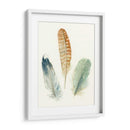 Plumas De Acuarela Iv - Meg Marie | Cuadro decorativo de Canvas Lab