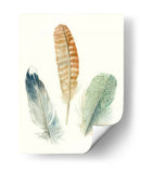 Plumas De Acuarela Iv - Meg Marie | Cuadro decorativo de Canvas Lab
