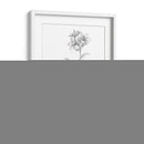 Bosquejo Botánico Ii - Ethan Harper | Cuadro decorativo de Canvas Lab