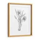 Boceto Botánico Iii - Ethan Harper | Cuadro decorativo de Canvas Lab