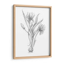 Boceto Botánico Iii - Ethan Harper | Cuadro decorativo de Canvas Lab