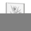 Boceto Botánico Iii - Ethan Harper | Cuadro decorativo de Canvas Lab