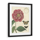 Vintage Floral Iii - Vision Studio | Cuadro decorativo de Canvas Lab