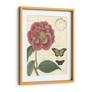 Vintage Floral Iii - Vision Studio | Cuadro decorativo de Canvas Lab