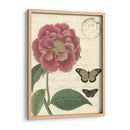 Vintage Floral Iii - Vision Studio | Cuadro decorativo de Canvas Lab