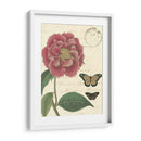 Vintage Floral Iii - Vision Studio | Cuadro decorativo de Canvas Lab