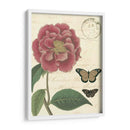 Vintage Floral Iii - Vision Studio | Cuadro decorativo de Canvas Lab