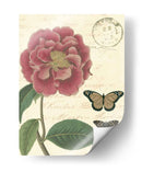 Vintage Floral Iii - Vision Studio | Cuadro decorativo de Canvas Lab
