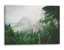 Bruma entre los pinos | Cuadro decorativo de Canvas Lab