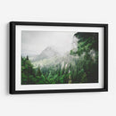 Bruma entre los pinos | Cuadro decorativo de Canvas Lab