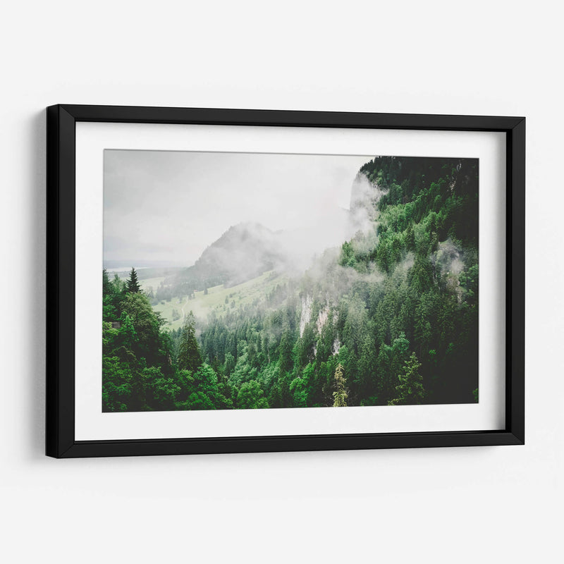 Bruma entre los pinos | Cuadro decorativo de Canvas Lab