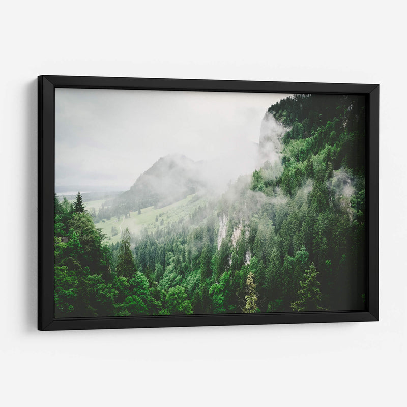 Bruma entre los pinos | Cuadro decorativo de Canvas Lab