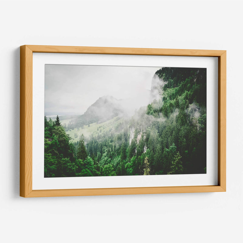 Bruma entre los pinos | Cuadro decorativo de Canvas Lab