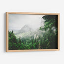 Bruma entre los pinos | Cuadro decorativo de Canvas Lab