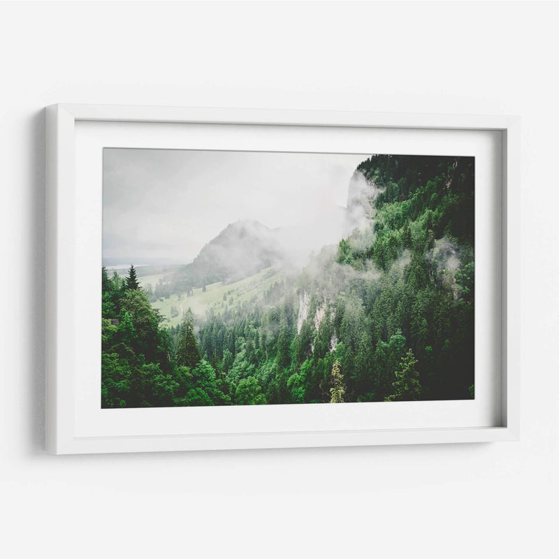 Bruma entre los pinos | Cuadro decorativo de Canvas Lab