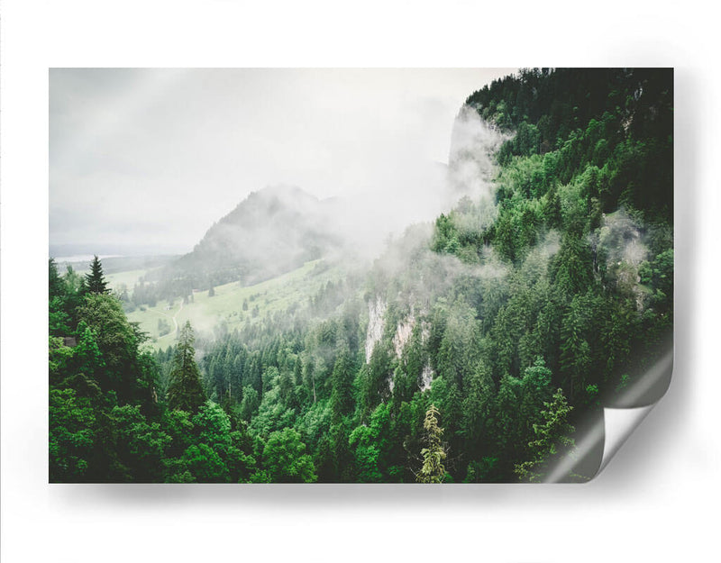 Bruma entre los pinos | Cuadro decorativo de Canvas Lab