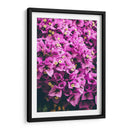 Bugambilias | Cuadro decorativo de Canvas Lab