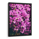 Bugambilias | Cuadro decorativo de Canvas Lab