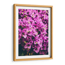 Bugambilias | Cuadro decorativo de Canvas Lab